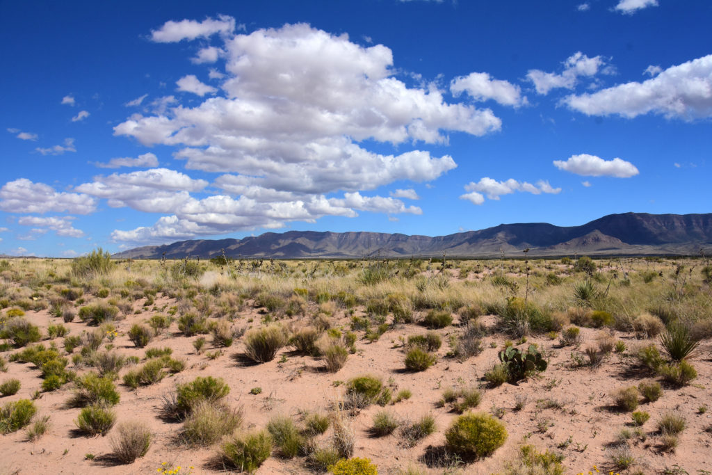 Featured in Oppenheimer Film Locations by Students Fare, this image shows